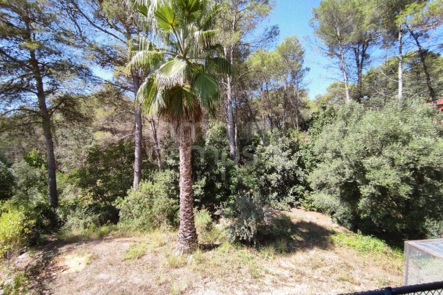 Venta - Casa de Campo - Villalonga