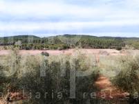 Venta - Finca - Bocairent