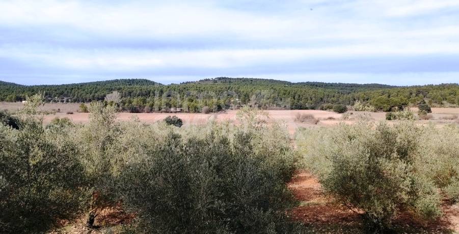 Venta - Finca - Bocairent