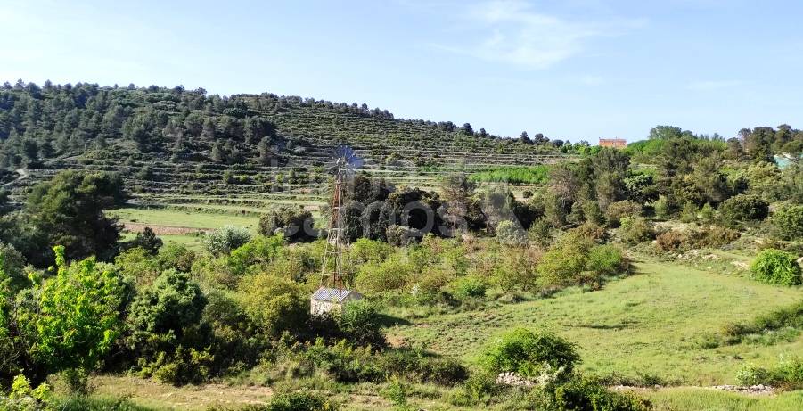 Venta - Finca - Penáguila