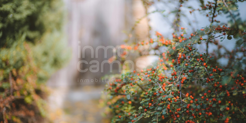 Sell your house in Cocentaina: the ideal time to do it before the end of the year