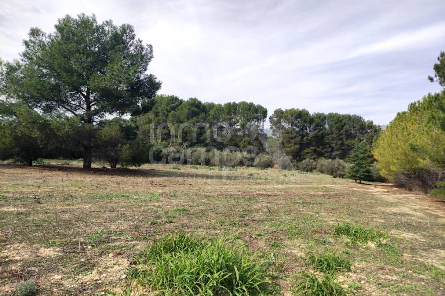 For sale - Country House - Muro de Alcoy