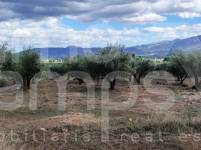 Venta - Casa de Campo - Muro de Alcoy