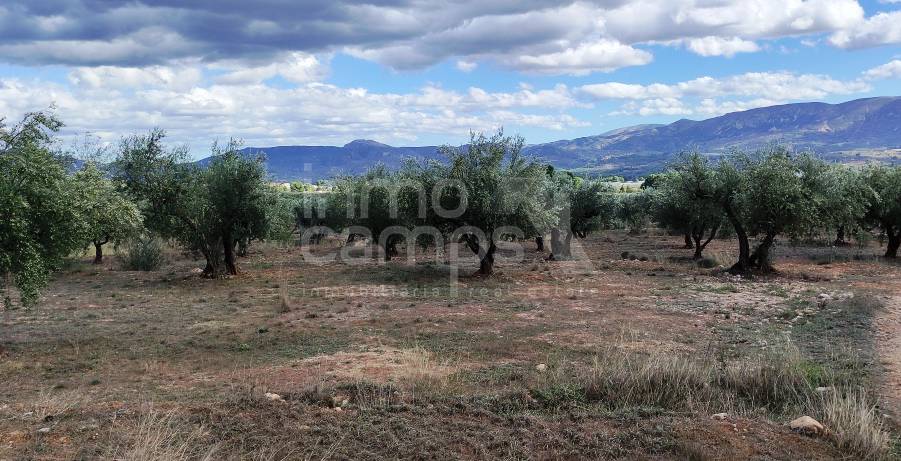 Venta - Casa de Campo - Muro de Alcoy