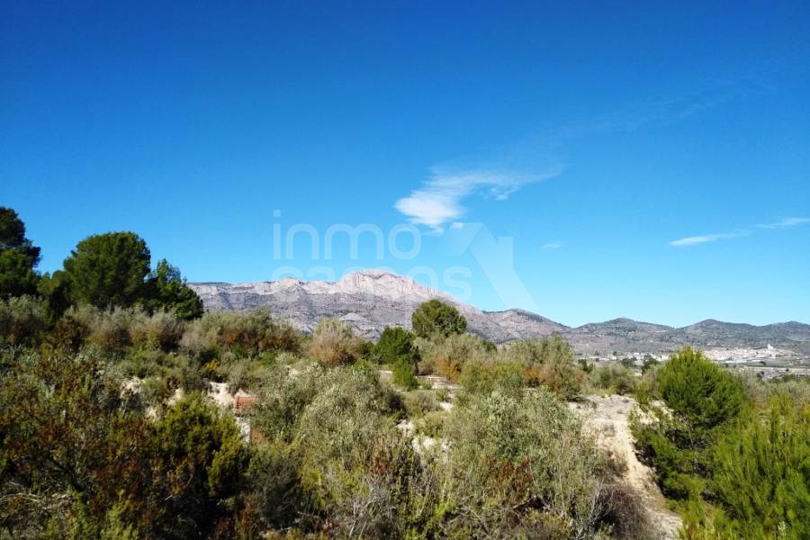 For sale - Rustic Land - Benimarfull