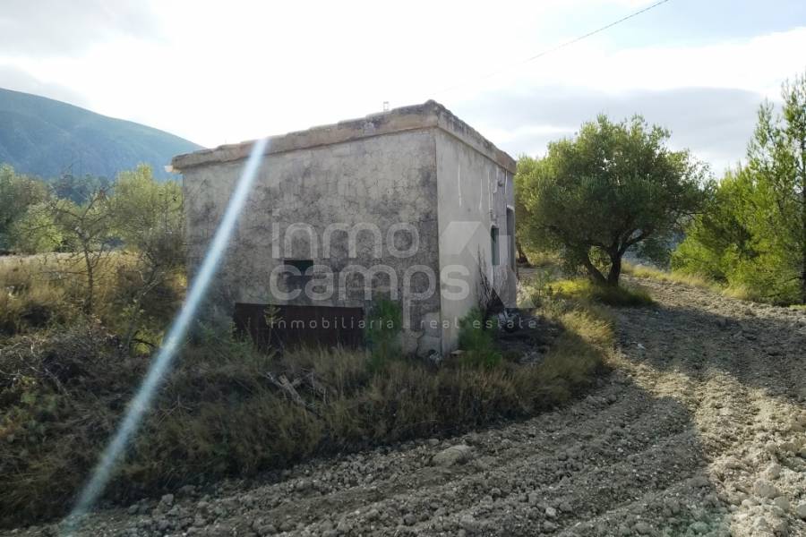 For sale - Rustic Land - Benillup