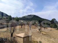 Venta - Finca - Torremanzanas