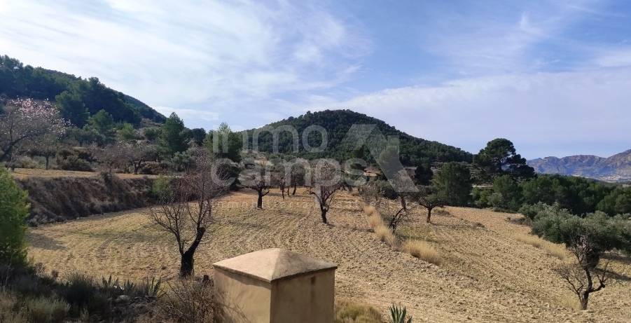 Venta - Finca - Torremanzanas