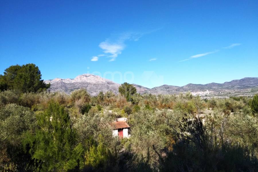 For sale - Rustic Land - Benimarfull