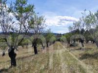 For sale - Rustic Land - Penáguila