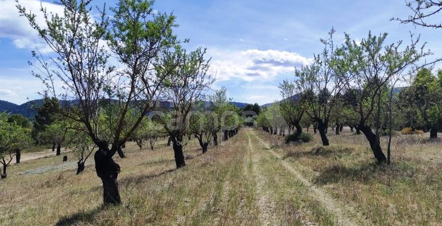 For sale - Rustic Land - Penáguila