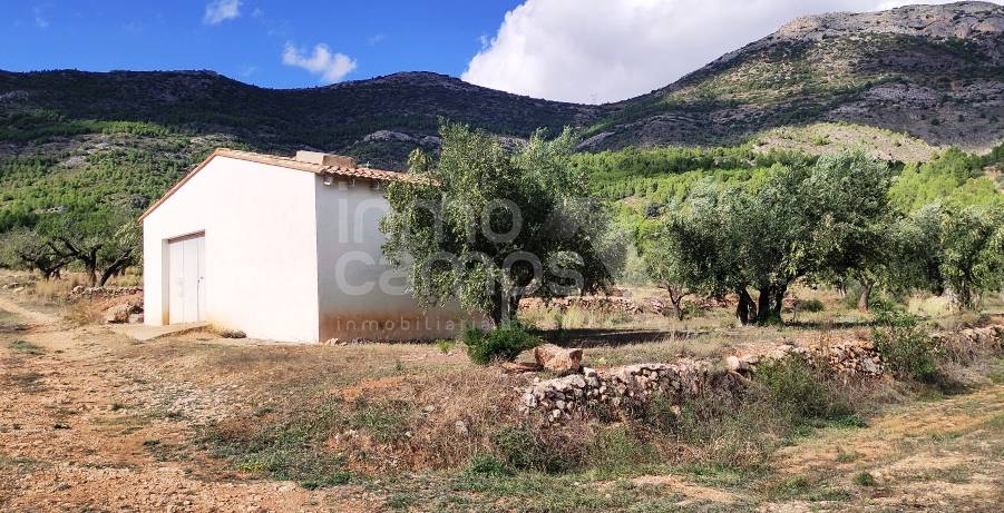 Venta - Casa de Campo - Muro de Alcoy