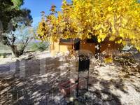 Te koop - Landhuis - Benilloba