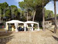 Venta - Casa de Campo - Bocairent