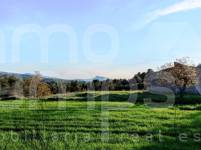 For sale - Finca - Bocairent