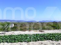 Venta - Casa de Campo - Montaverner