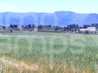 Venta - Parcela Rústica - Alfafara