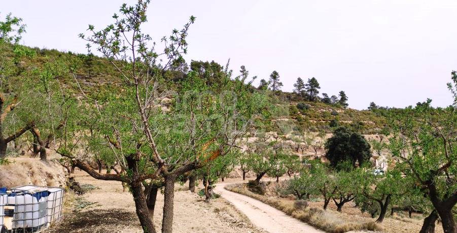 Venta - Finca - Penáguila