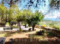 For sale - Finca - Millena