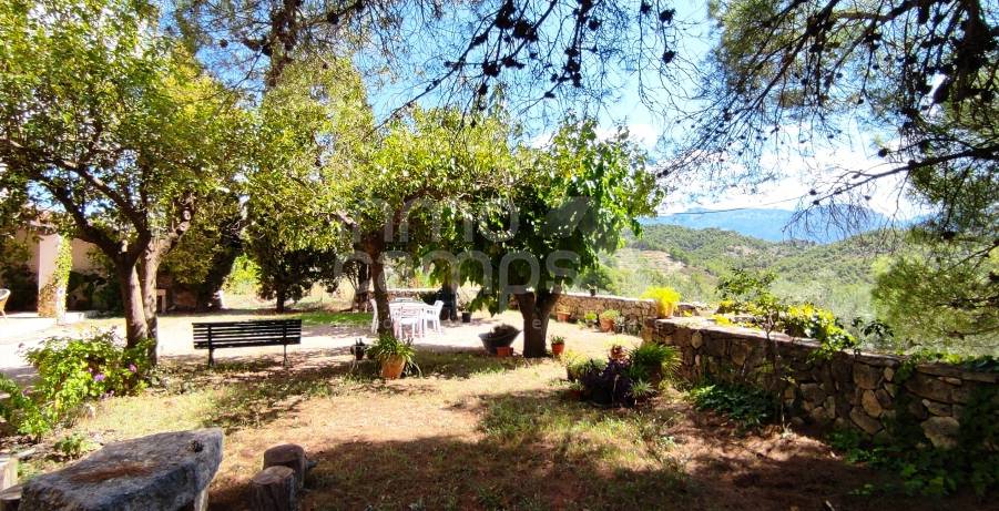 Venta - Finca - Millena