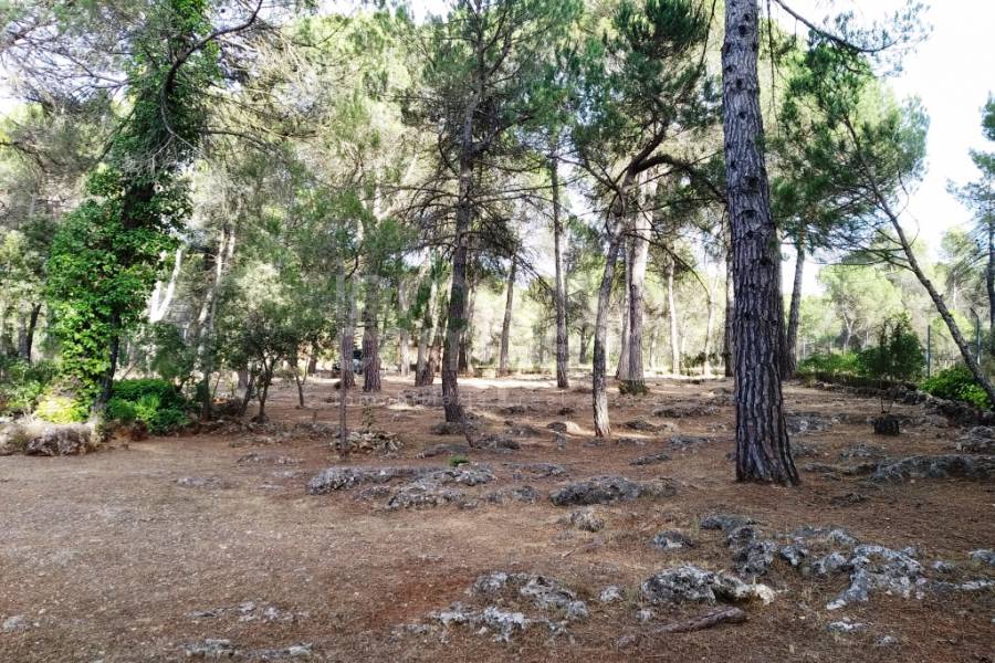 Venta - Casa de Campo - Bocairent