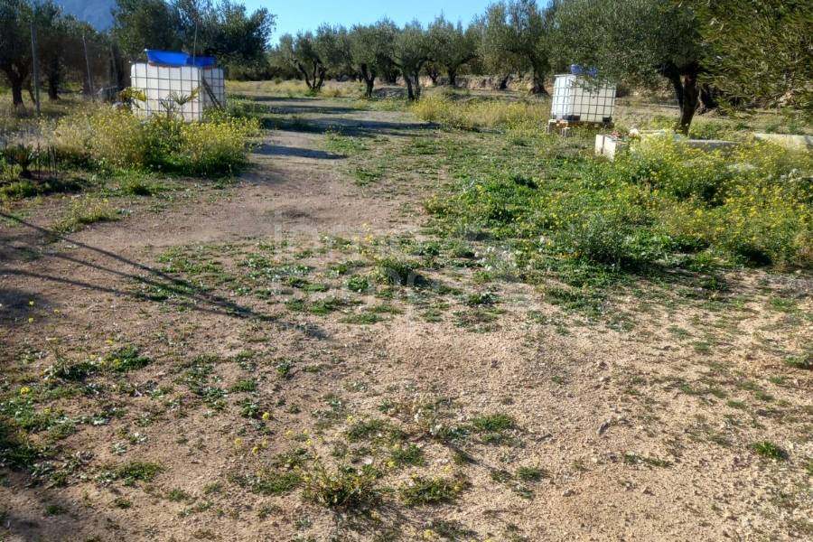 Venta - Casa de Pueblo - Muro de Alcoy - Cela