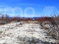 For sale - Rustic Land - Bufali