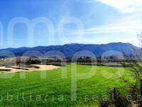 For sale - Finca - Alfafara