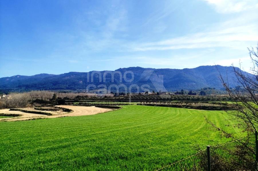 For sale - Finca - Alfafara