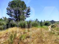 Venta - Parcela Rústica - Planes