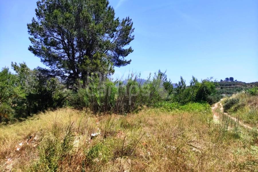 Venta - Parcela Rústica - Planes