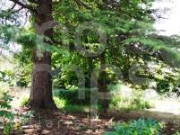 Venta - Finca - Bocairent