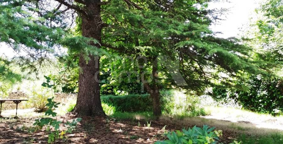 Venta - Finca - Bocairent