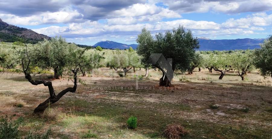 Venta - Casa de Campo - Muro de Alcoy