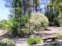 Venta - Finca - Alcoy