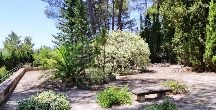 Te koop - Finca - Alcoy