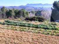 Venta - Finca - Albaida