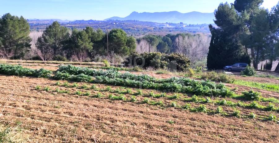 Te koop - Finca - Albaida