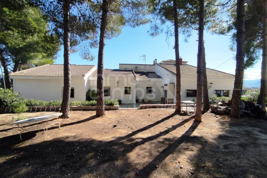 Te koop - Villa - Alcocer de Planes