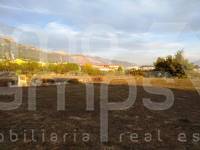 For sale - Rustic Land - Cocentaina