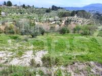 Venta - Finca - Cocentaina