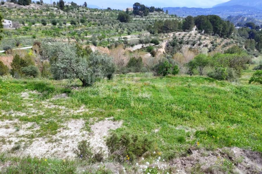 Venta - Finca - Cocentaina