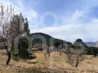 Venta - Finca - Torremanzanas