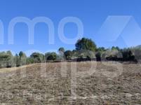 Venta - Finca - Bocairent
