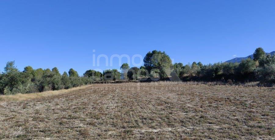 Venta - Finca - Bocairent