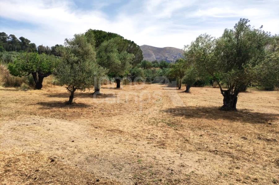 Te koop - Landhuis - Millena