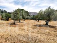 Venta - Casa de Campo - Millena