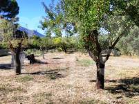 For sale - Finca - Alcoy