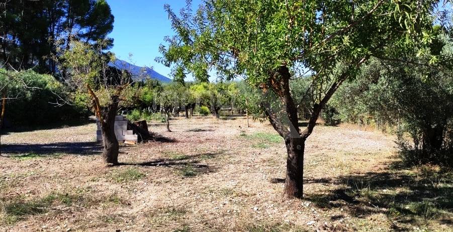 For sale - Finca - Alcoy