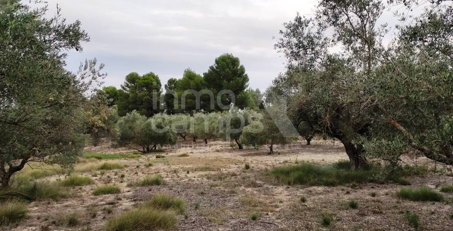 For sale - Country House - Ontinyent